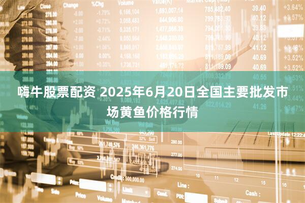 嗨牛股票配资 2025年6月20日全国主要批发市场黄鱼价格行情