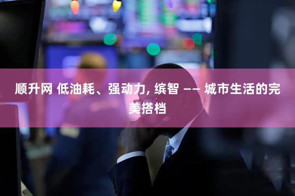 顺升网 低油耗、强动力, 缤智 —— 城市生活的完美搭档