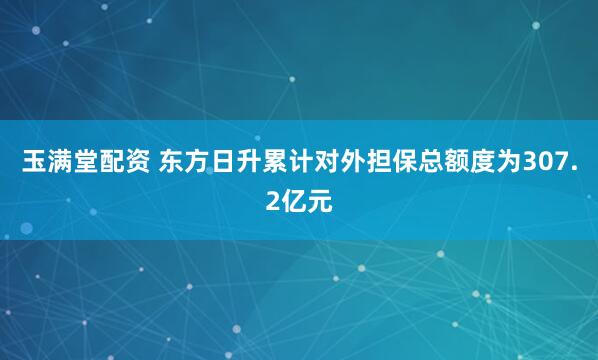 玉满堂配资 东方日升累计对外担保总额度为307.2亿元